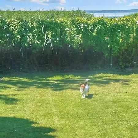 Szczecinska Casa de Férias *